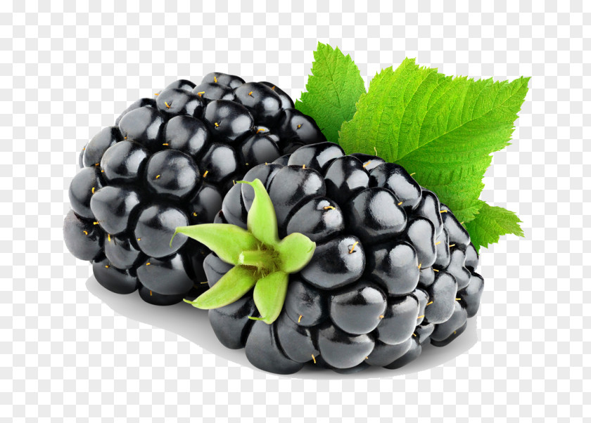 Blackberry Pie Fruit PNG
