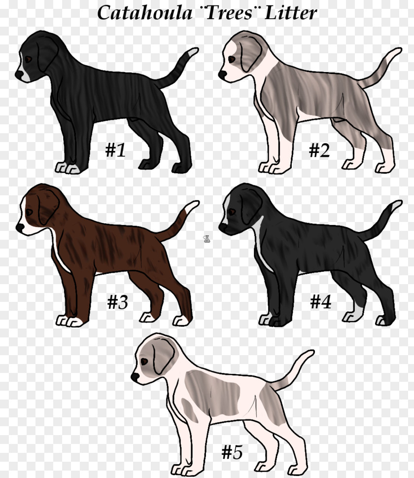 Catahoula Dog Breed Great Dane Sporting Group Retriever Crossbreed PNG