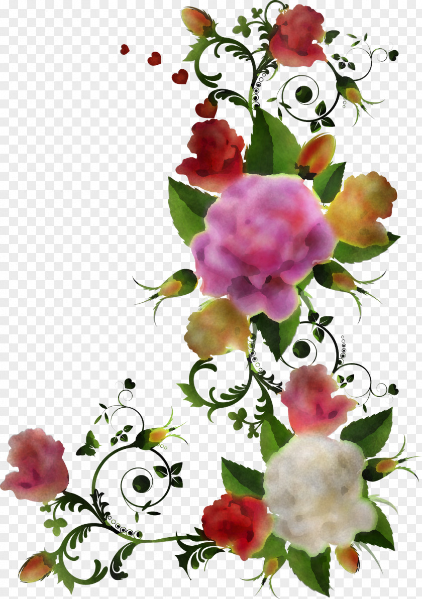 Floral Design PNG