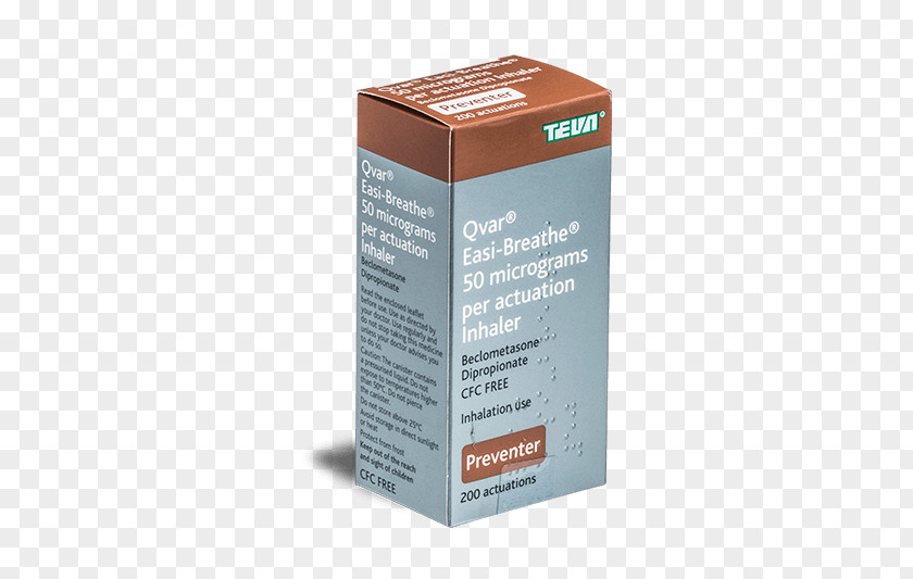 Fluticasone Propionate/salmeterol Asthma Beclometasone Dipropionate Inhaler Budesonide PNG