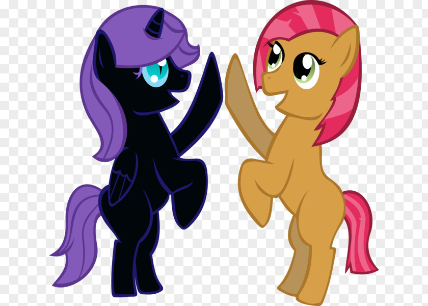 Horse My Little Pony: Friendship Is Magic Fandom Wikia PNG
