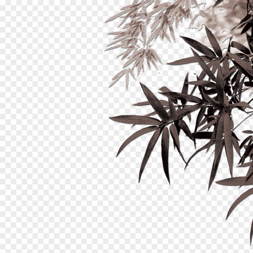Ink Painting Bamboo Leaves Bamboe Leaf Computer File PNG