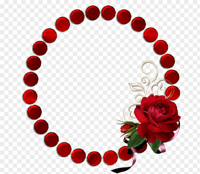 Petal Plant Red Circle PNG