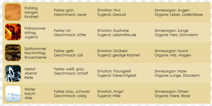 Wu Xing Classical Element Ernährung Nach Den 5 Elementen Chemical Human Nutrition PNG