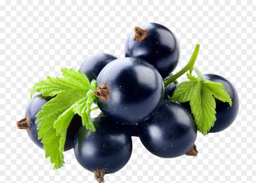 Black Currant Gooseberry Zante Blackcurrant Bilberry Flavor PNG
