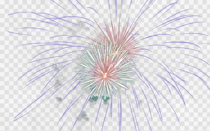 Fireworks Symmetry Petal Pattern PNG