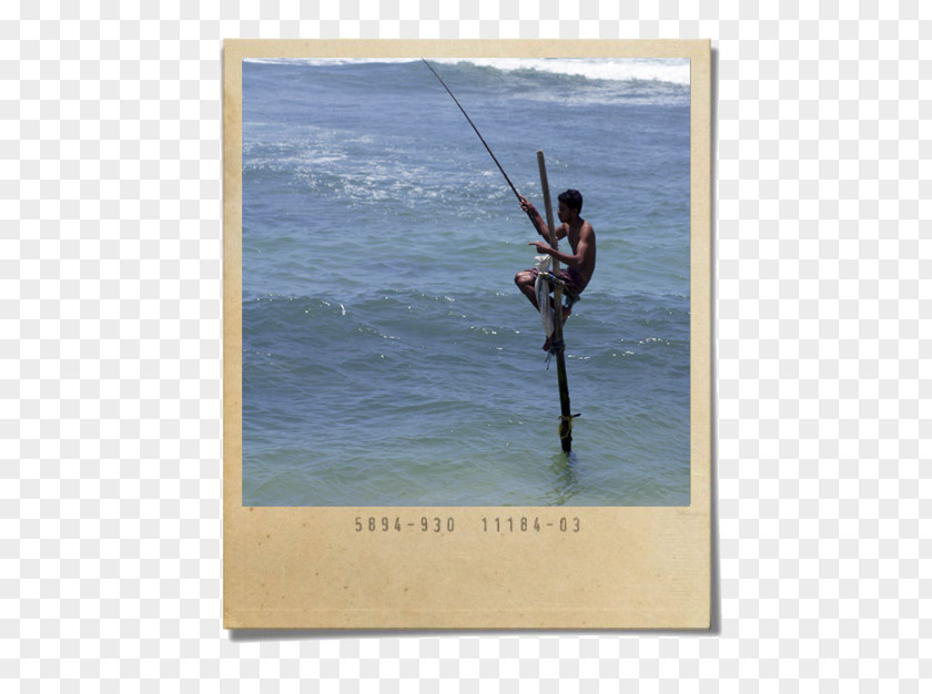 Fishing Casting Rods Water Vacation PNG