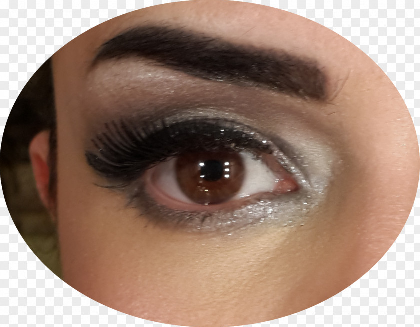 Hostes Eye Shadow Liner M·A·C Pigment Cosmetics Eyelash Extensions PNG