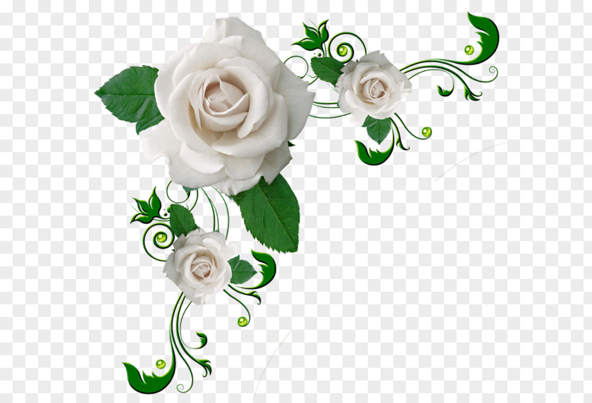 In-page Flower Rose Clip Art PNG