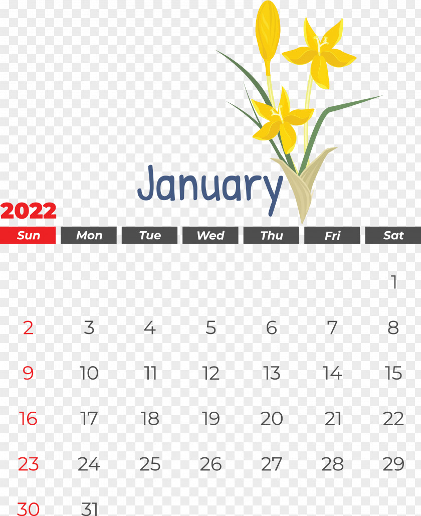 Logo Font Line Calendar Yellow PNG