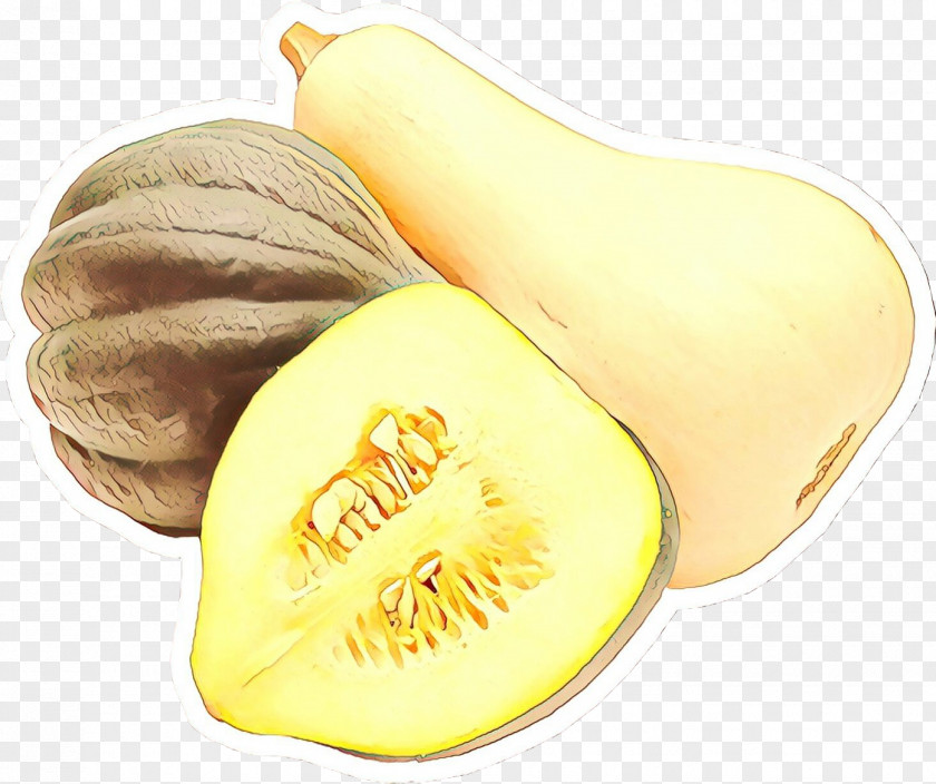 Vegetable Food Plant Winter Squash Butternut PNG