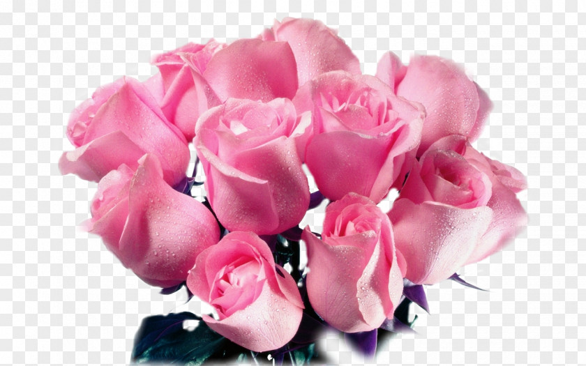 Beautiful Rose Flower Bouquet Pink Cut Flowers PNG
