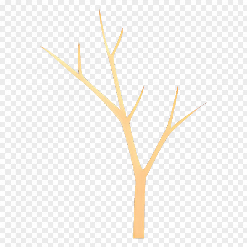 Branch Twig Yellow Leaf Plant PNG