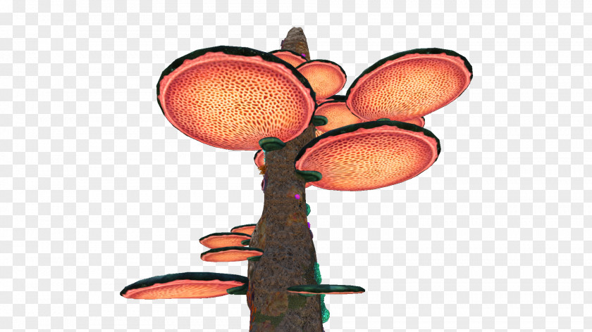 Coral Tree Cliparts Erythrina Clip Art PNG