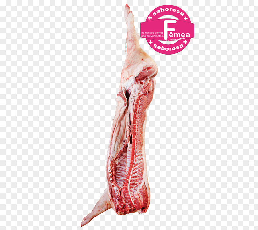 Ham Lamb And Mutton Black Iberian Pig Embutido Pork PNG