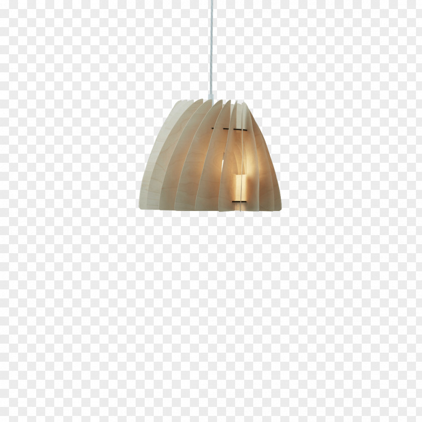 Light Pendant Fixture Lighting Electric PNG