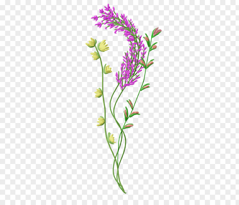 Painting Cut Flowers PNG
