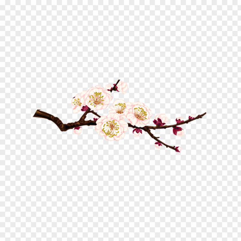 Plum Flower Blossom Download PNG