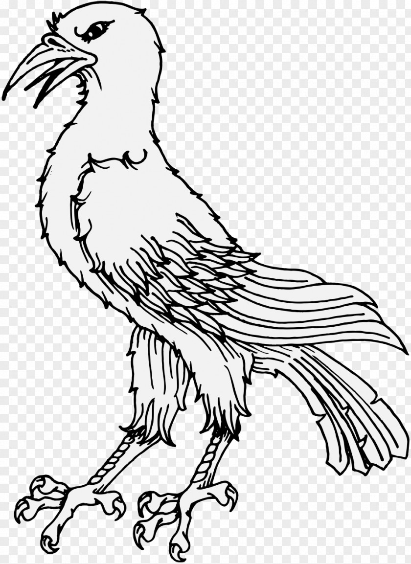 Raven Line Art Bird Clip PNG