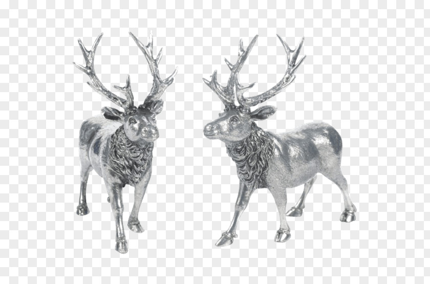 Reindeer Elk Antler Fauna Vagabond House PNG