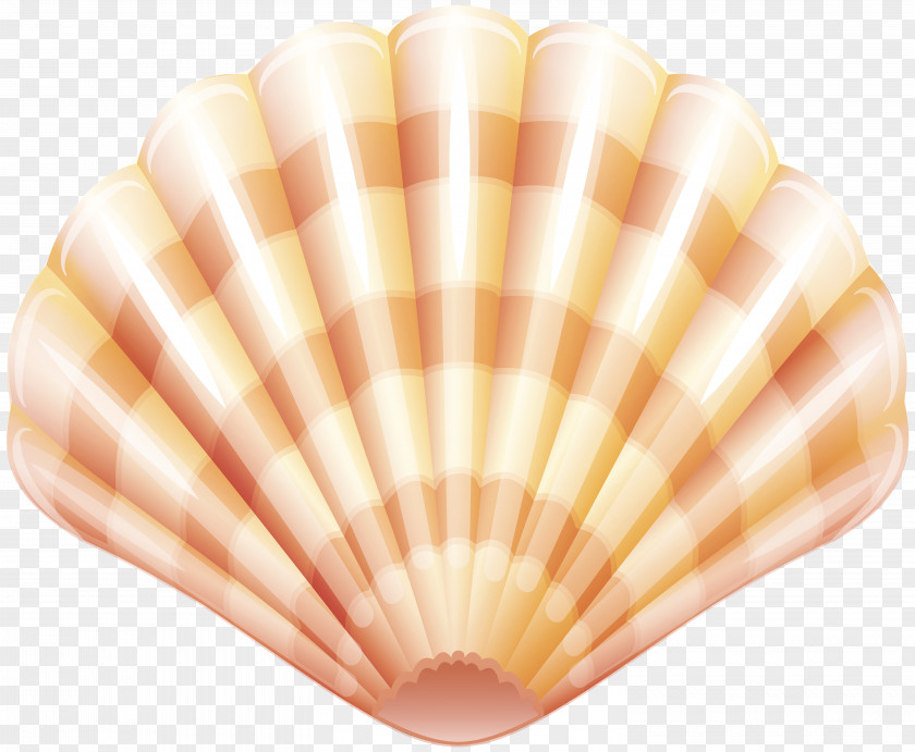 Sea Clam Shell Clip Art Image Seafood Lobster Shellfish Mussel Crab PNG