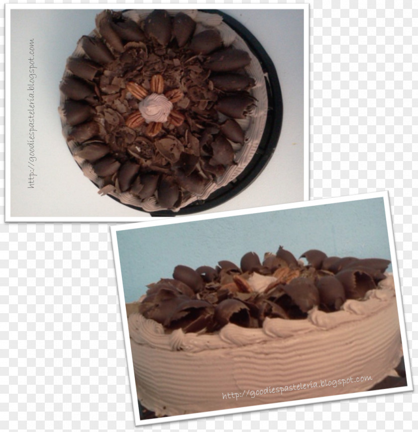 Chocolate Cake Fudge Truffle Praline PNG