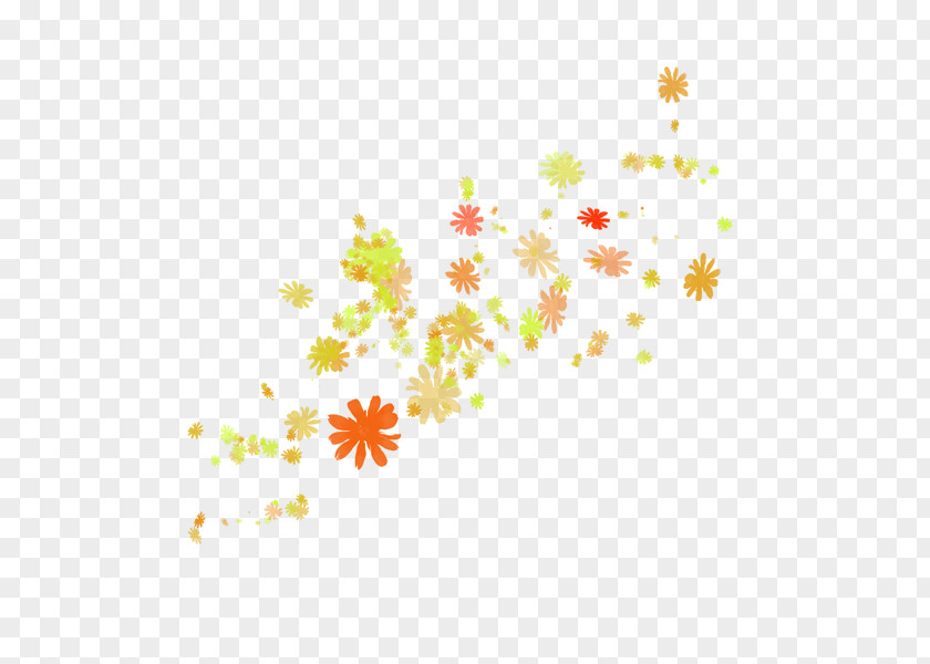 Design Petal Leaf PNG