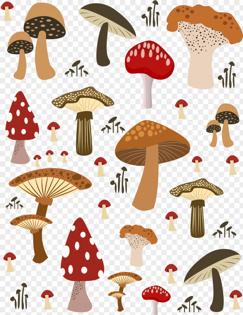 Featured Cartoon Mushrooms Mushroom Illustration PNG