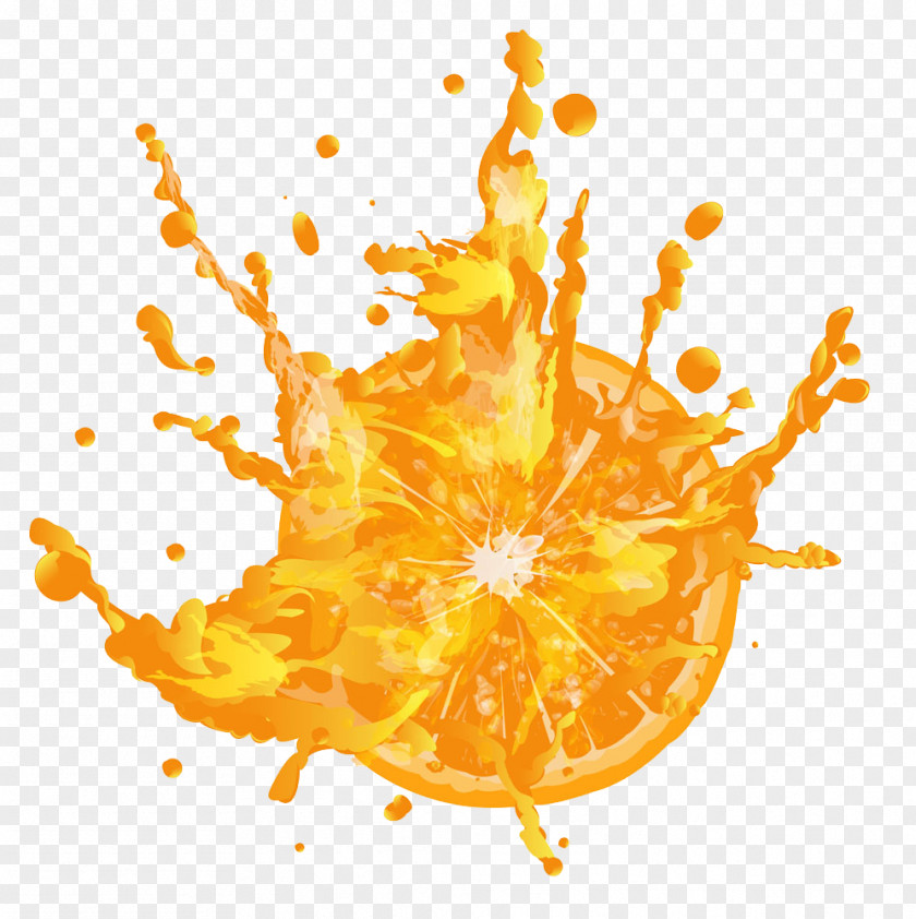 Orange Juice And Oranges Citrus Xd7 Sinensis PNG