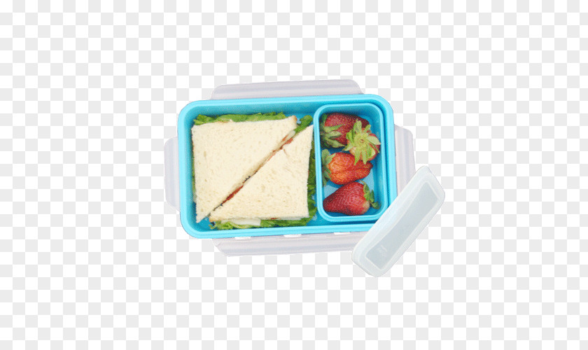 Plastic Lunch Rectangle PNG