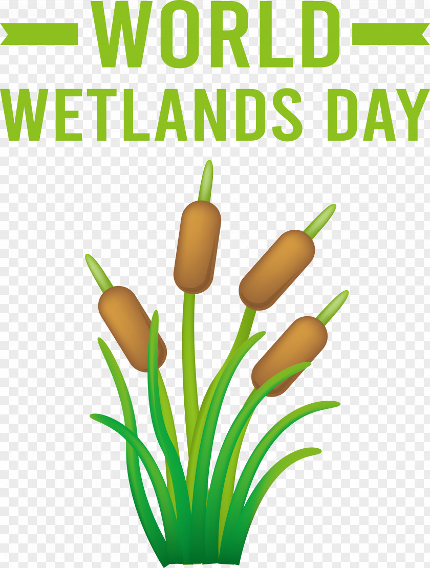 World Wetlands Day PNG