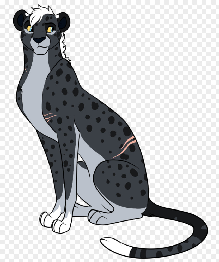 Cat Whiskers Dog Cheetah Lion PNG
