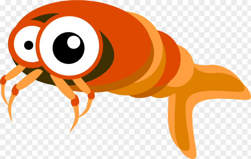 Fish Marine Biology Cartoon Vector Graphics Image PNG