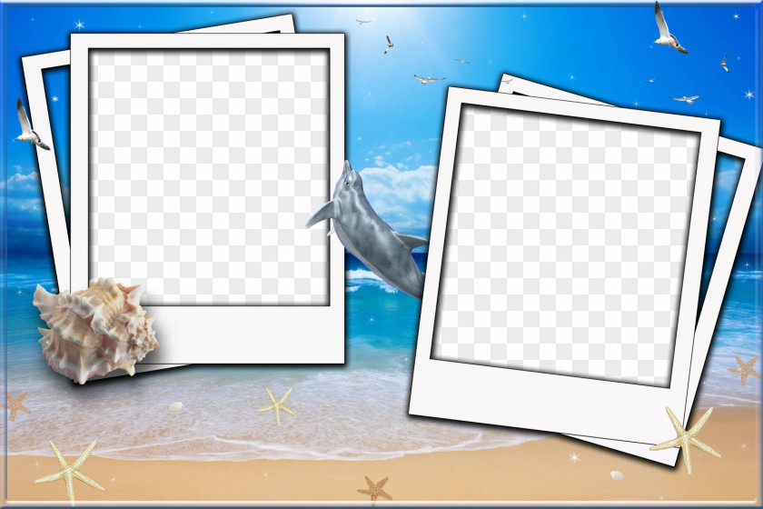 Photo Frame Picture Frames Photography Photomontage Film PNG
