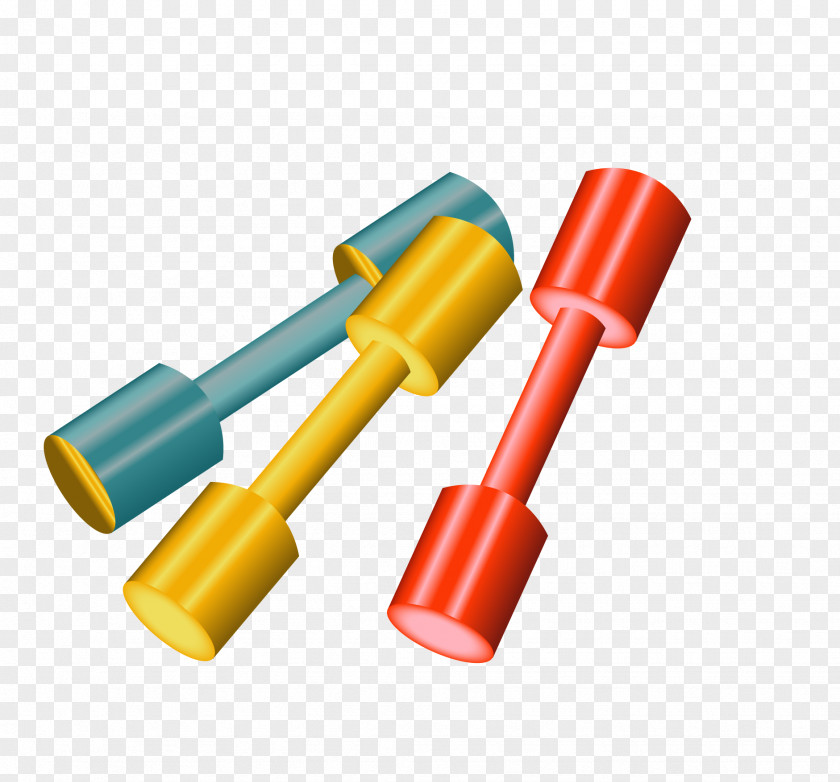 Sports Barbell Vector Sport PNG