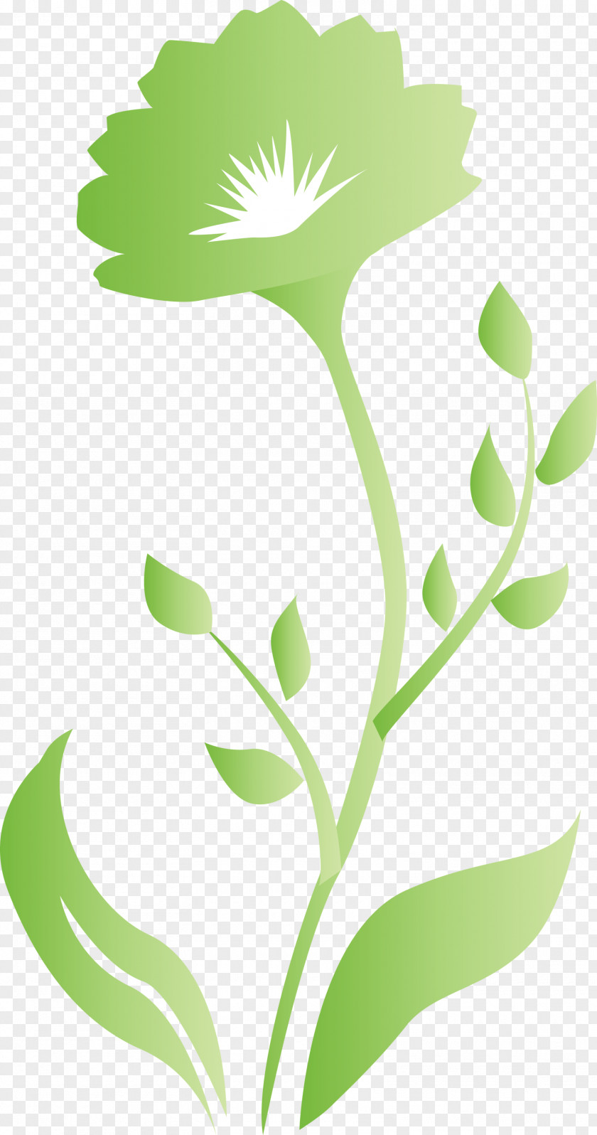 Spring Frame Decor PNG