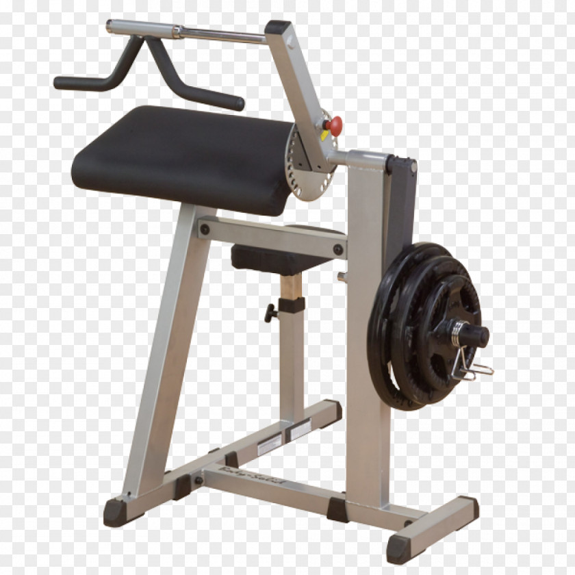 Barbell Triceps Brachii Muscle Biceps Arm Human Body Machine PNG