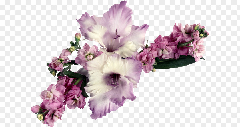 Gladiolus Flower Bouquet PNG