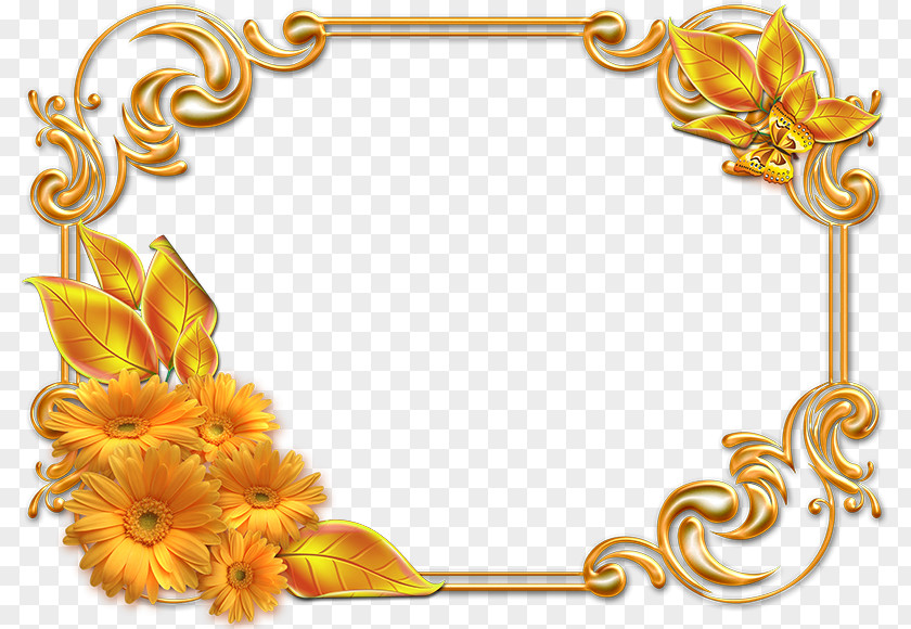 Invitation Frame Picture Frames Photography PNG
