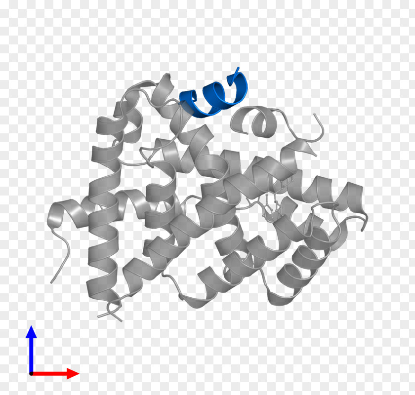 Line Farnesoid X Receptor Brand Pregnane Liver PNG