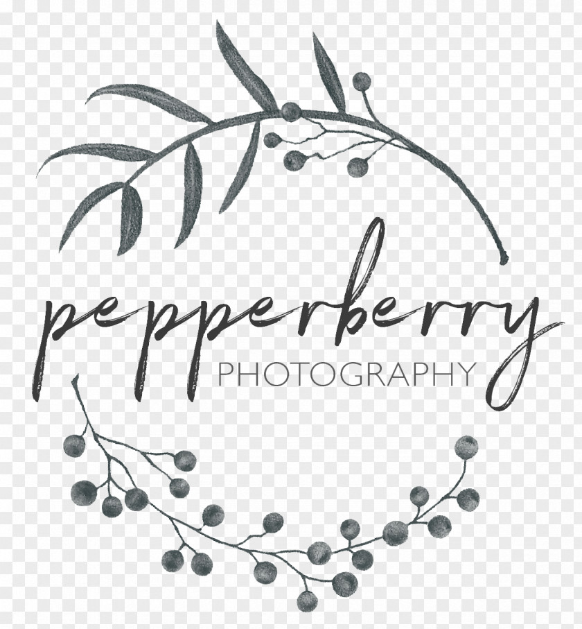 Logo Wedding Pictures Photography Photographer PNG