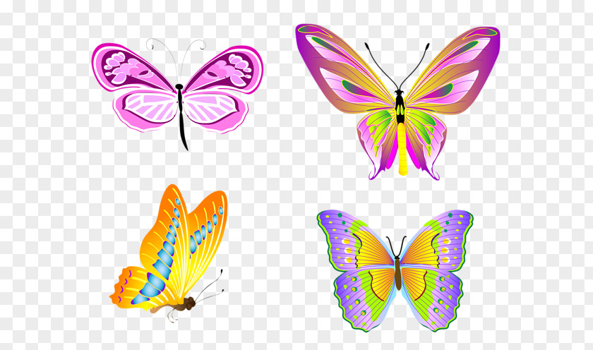 Set Off Brush-footed Butterflies Butterfly Drawing Clip Art PNG