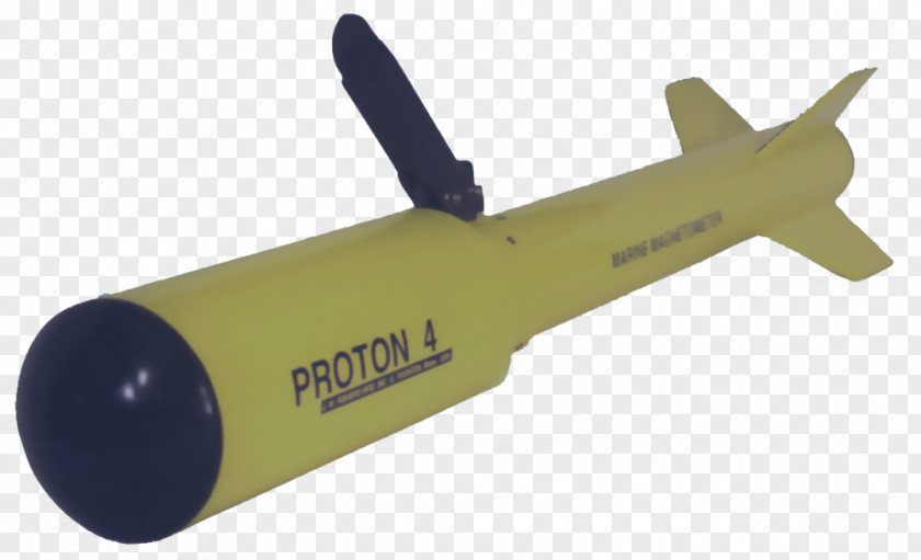 Shoal Of Fish Metal Detectors Sensor Magnetometer PNG