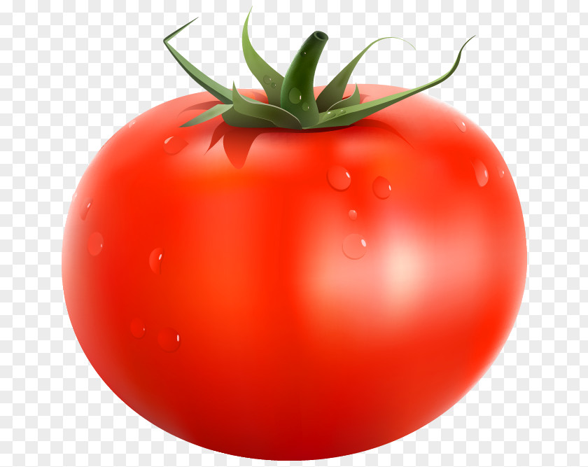 Tomato Background Cliparts Juice Cherry Italian Pie Soup PNG