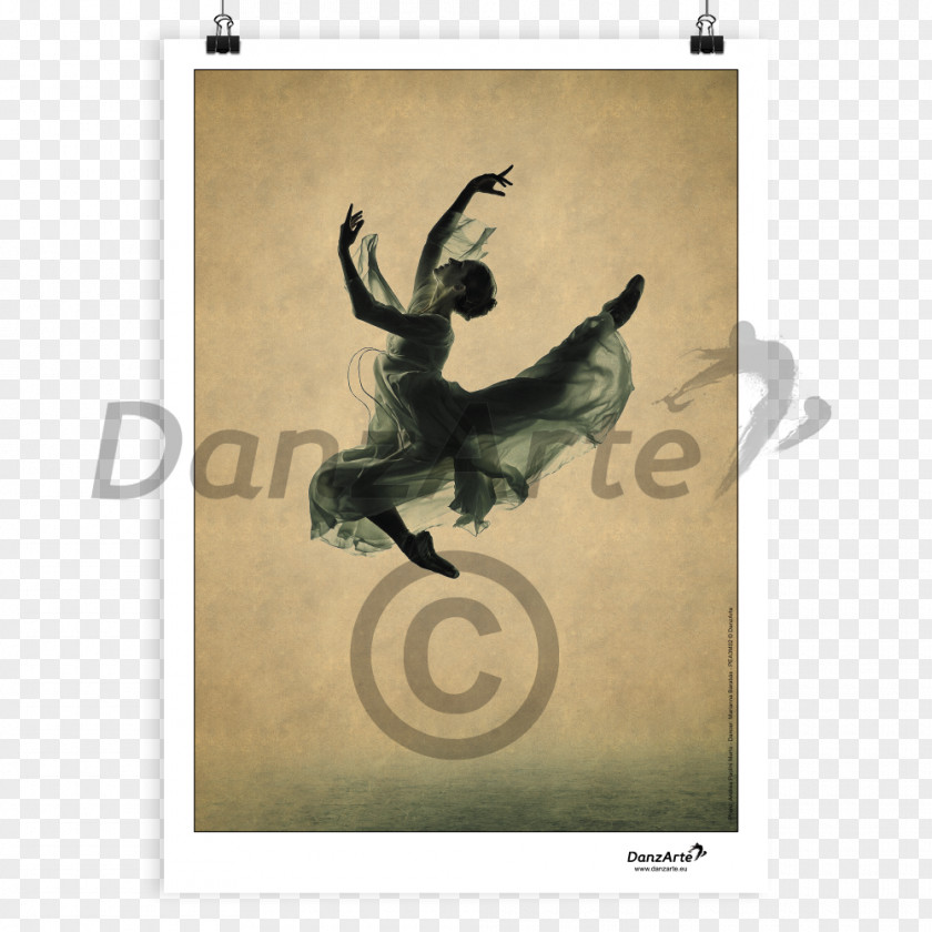 Cosmetics Posters Ballet Dancer Classical Capezio PNG