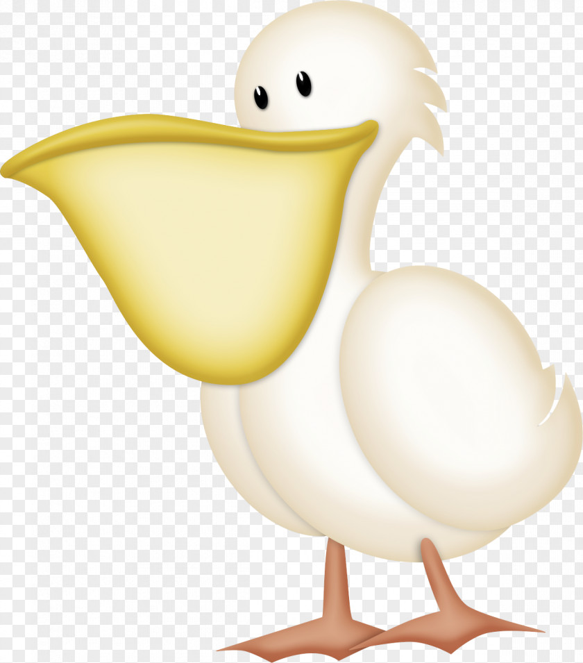 Pelican Bubble Clip Art Duck Chicken Image PNG
