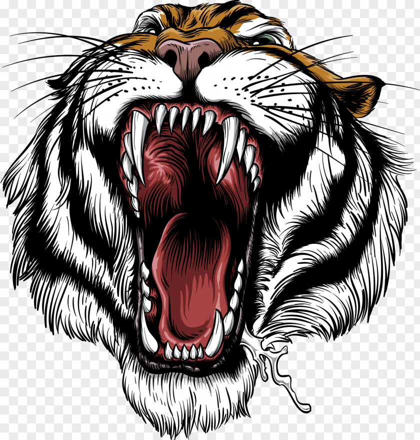 Roar Cdr Bengal Tiger Siberian Clip Art PNG