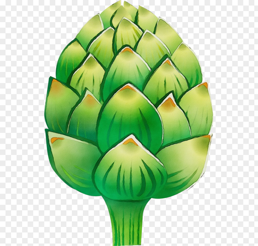 Vegetable Plant Artichoke Green Leaf Cynara Clip Art PNG