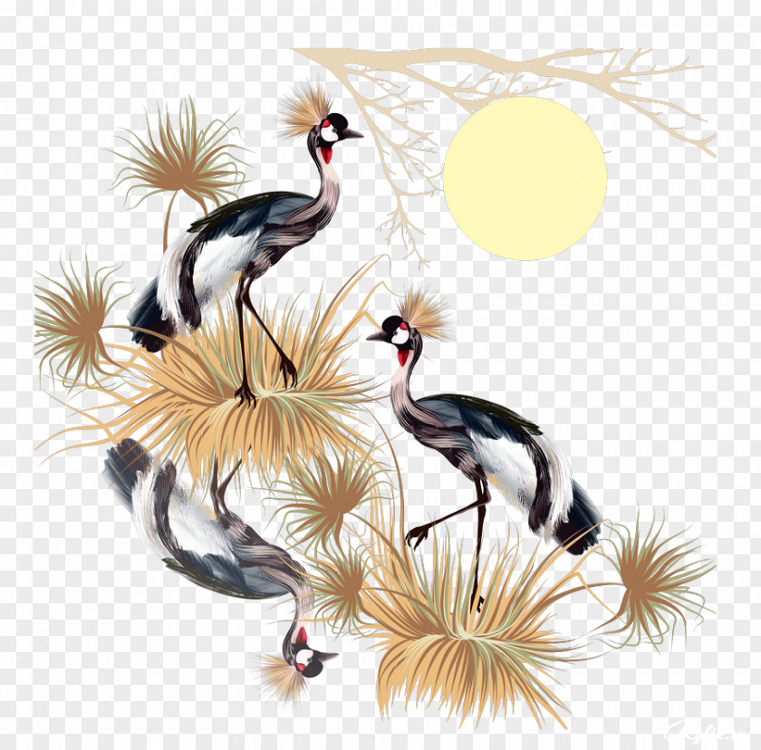 Crane Bird Drawing PNG