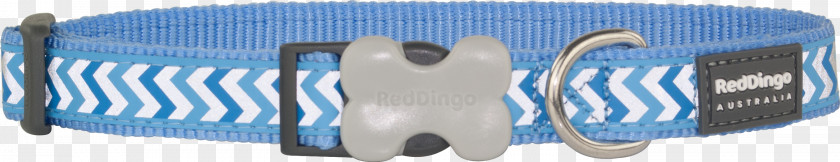 Dog Dingo Blue Collar Red PNG